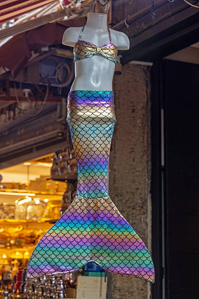 Special Costume Sequin Mermaid Tail Fin Skirt Cosplay Outfit