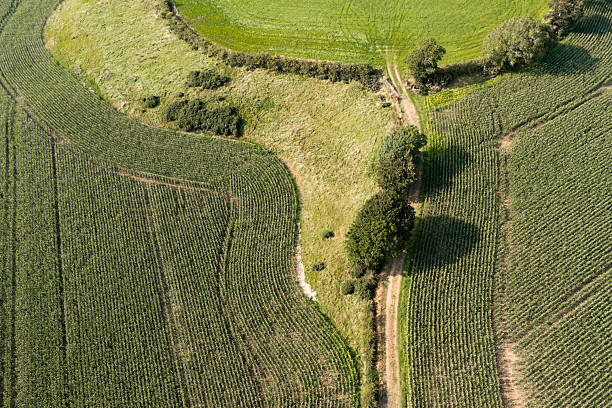 Drone view of agricultural fields in rural Scotland on a summer afternoon