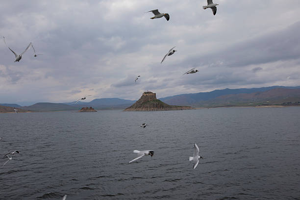 Pertek Castle is a castle in the Pertek district of Tunceli province.