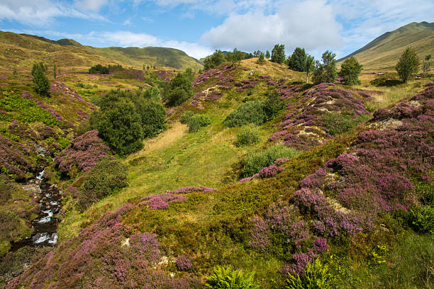 istock Scottish Highlands landscape 2230086870