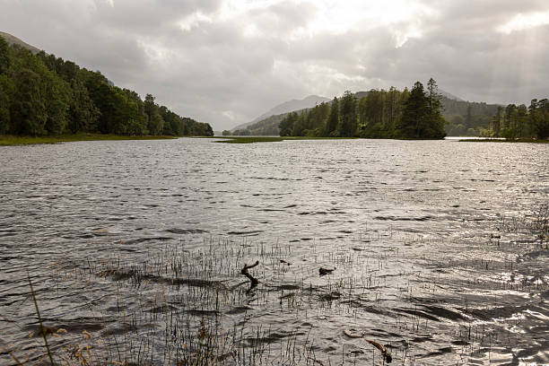 istock A body of water with a cloudy sky above it 2230088590