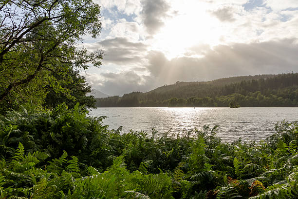 istock A lake with a forest in the background 2230090529