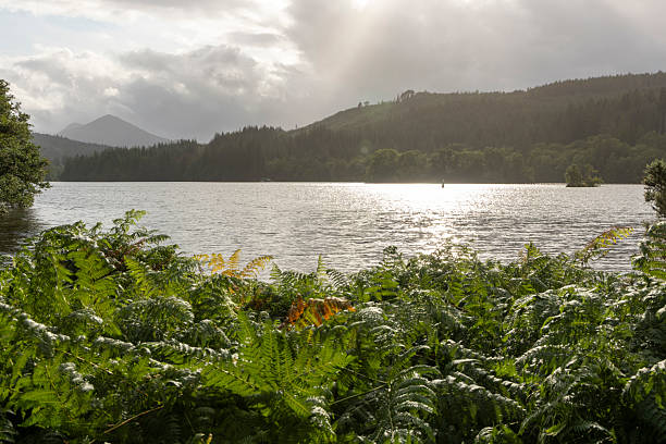 istock A lake with a cloudy sky in the background 2230090659