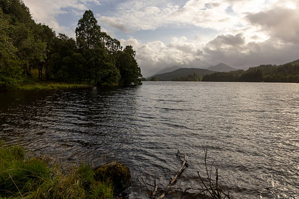 istock A lake with a tree in the background 2230090971