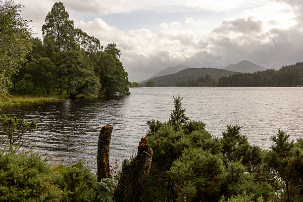 istock A lake with trees in the background and a cloudy sky 2230090973