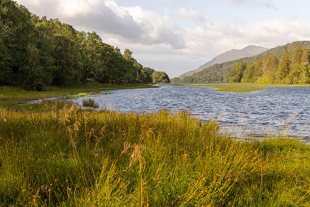 A beautiful lake with a green grassy bank. The water is calm and the sky is cloudy