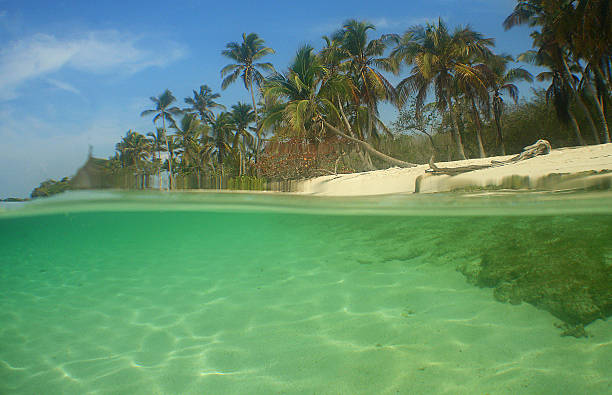A BEACH PARADISE ON THE COAST OF VENEZUELA
