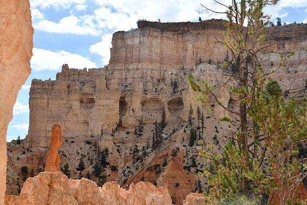 istock Scenic view of Bryce Canyon's unique rock formations and pine trees under a blue sky. 2230093718