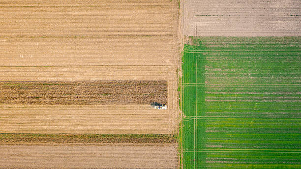 istock Aerial view on combine, harvester machine, harvest ripe maize 2230095510