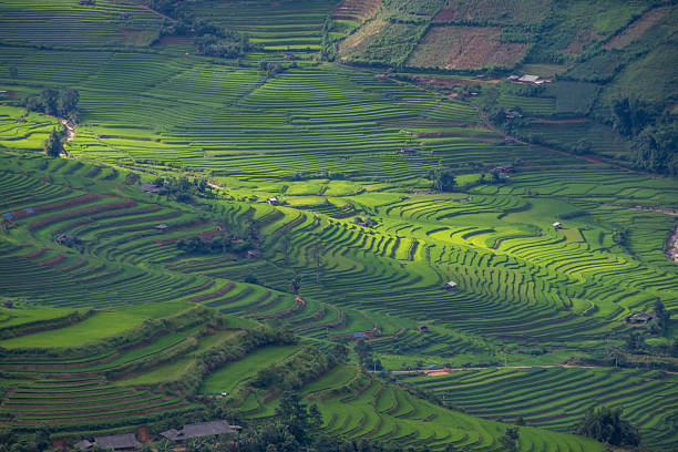 istock Rice fields on terraces of Mu Cang Chai, Vietnam. 2230096123