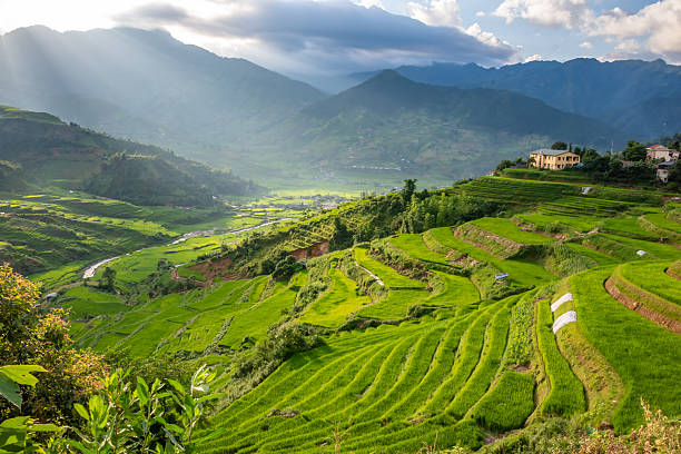 istock Rice fields on terraces of Mu Cang Chai, Vietnam. 2230096162