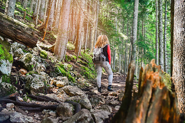istock Hiking Up a Forest Trail with Sunlight Filtering Between Trees 2230096547