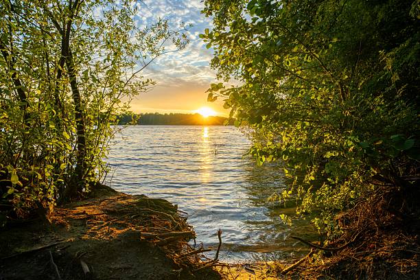 istock Serene Lake Sunset Framed by Trees 2230098416