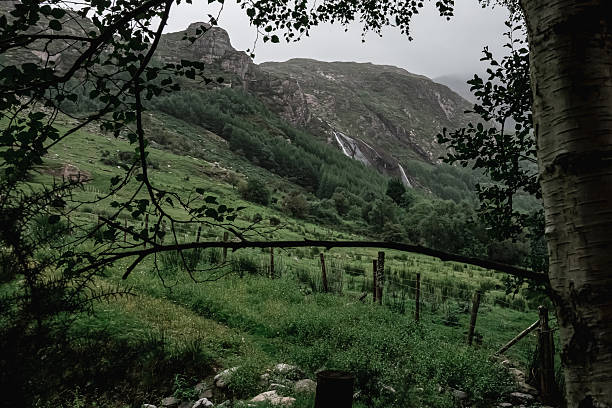 A breathtaking and magnificent view of misty mountains combined with lush greenery, a perfect escape for nature lovers