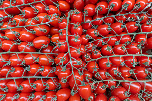 Fresh cherry tomatoes on the vine at the market. A colorful display of cherry tomatoes invites culinary creativity and celebrates the essence of fresh ingredients.