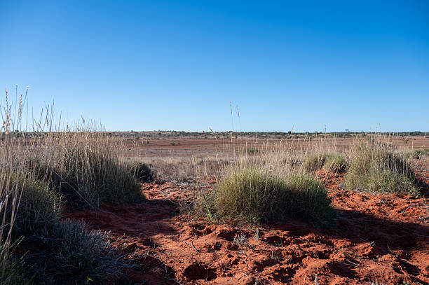 Outback desert scenes in Queensland