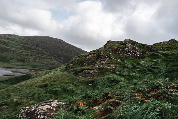 A breathtaking and stunning view of a lush, vibrant landscape with colorful rocks and ferns beneath a dramatic sky
