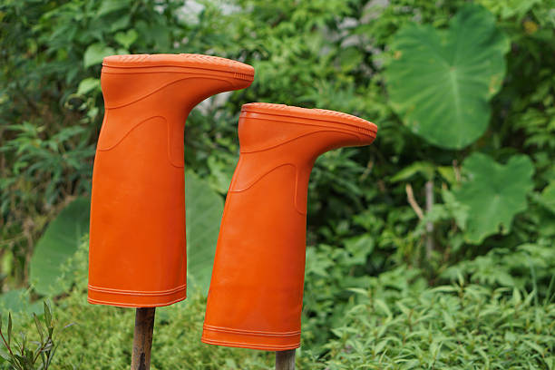 Colour wellingtons on porch