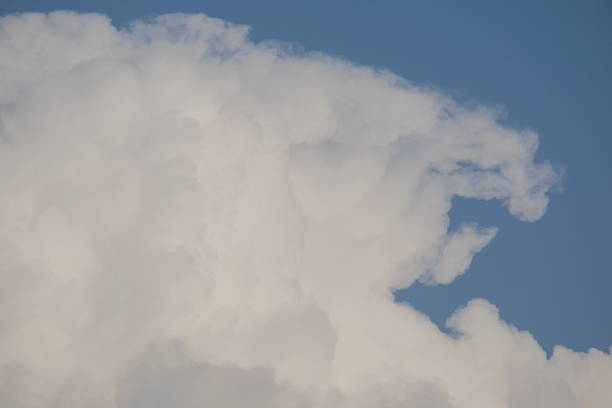 Fluffy white clouds drift across a clear blue sky, creating a peaceful scene that highlights the natural beauty and ever-changing shapes of the clouds in the atmosphere