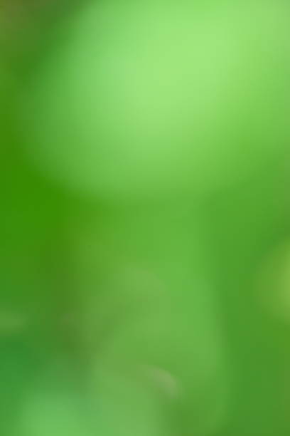 istock Abstract green background with soft blurred bokeh effect, creating a serene and tranquil atmosphere, ideal for nature-themed designs and creative projects 2230105452