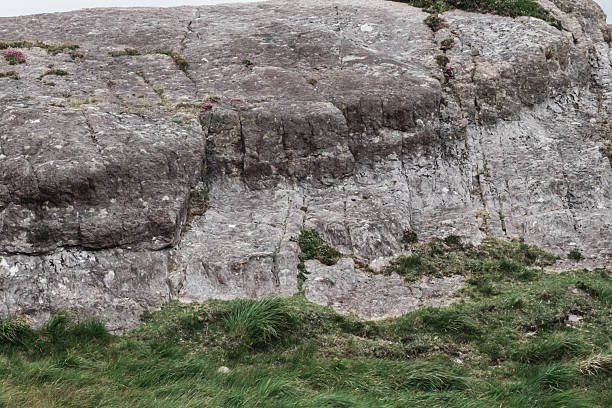 Discover and explore ancient inscriptions carved into a weathered rock surface set in a lush green environment