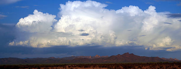istock Landscape Sonoran Desert Arizona 2230112060