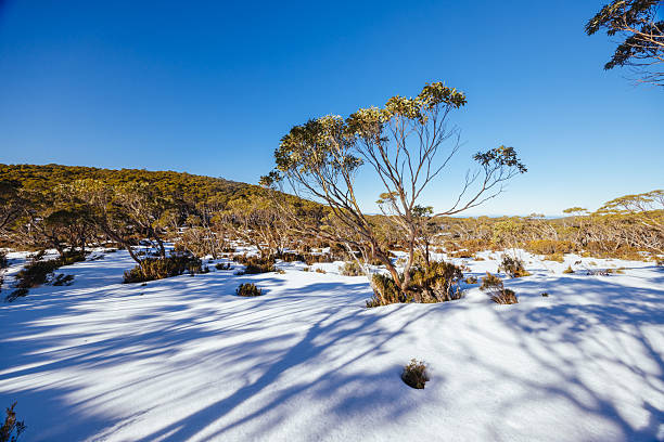 istock Phillack Saddle in Baw Baw Australia 2230113507