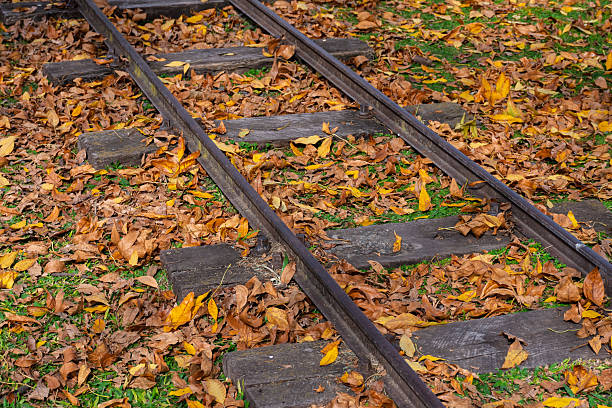 istock Selective focus on railroad tracks in an autumn landscape. 2230117320