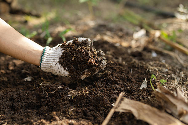 istock Hand in glove holding a sample of eco friendly organic compost 2230121728