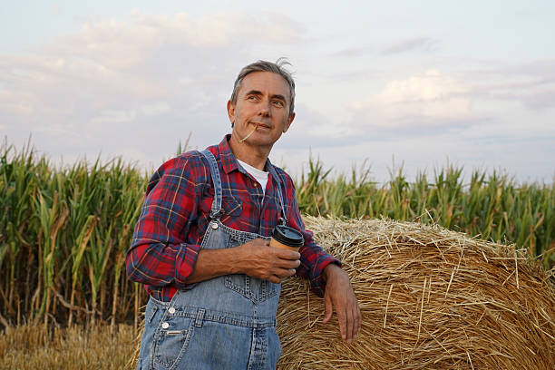 A farmer wearing a straw hat and overalls relaxes next to hay bales in a cornfield, using a laptop and drinking coffee. This scene combines traditional agriculture with modern technology, ideal for themes like smart farming, rural life, remote work, and digital transformation in agriculture.