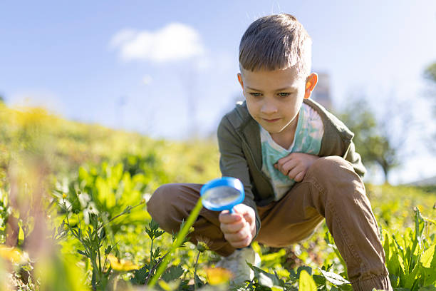 istock Curious child exploring nature with magnifying glass in meadow 2230130073