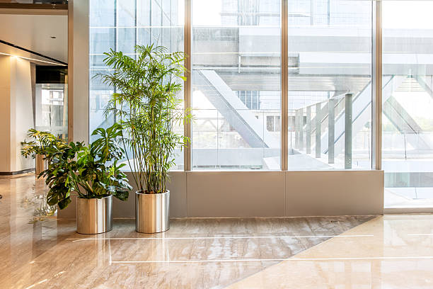 Open space and plants in a corner of the office building