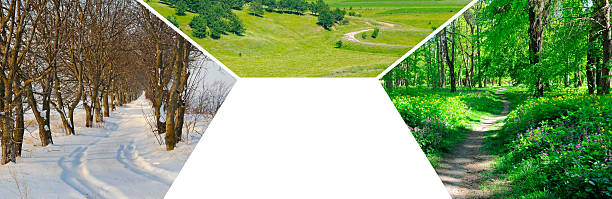 Path in the forest, country roads and paved roads. Collage. Mosaic pattern. Wide photo. Free space for text.