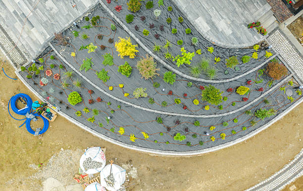 istock Landscape Design Features Various Plants in an Organized Arrangement 2230133884