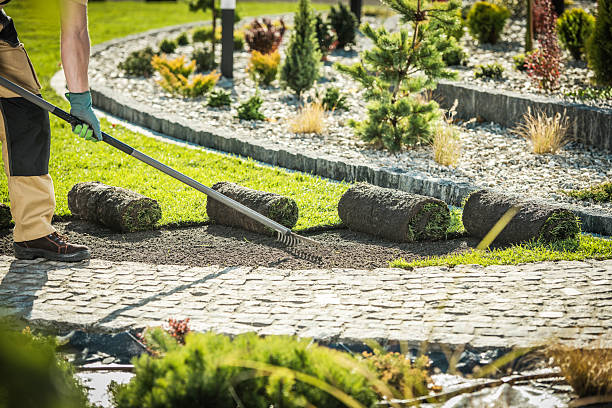 istock A Gardener Uses a Rake to Level Soil While Laying Rolled Sod in a Vibrant Garden 2230133980