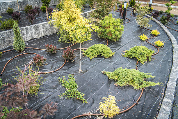 istock Gardening Layout With Various Plants and Irrigation Setup in a Landscaped Area 2230134175