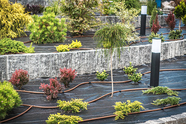 istock Modern Landscape Design With Plants, Irrigation System and Lighting in a Garden Setting 2230135547