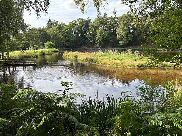 istock Sanquhar Woodlands 2230135681