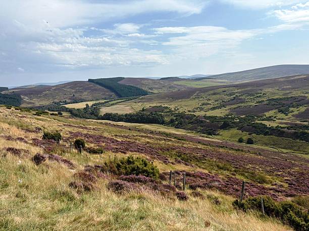 istock Cairngorms National Park 2230140244
