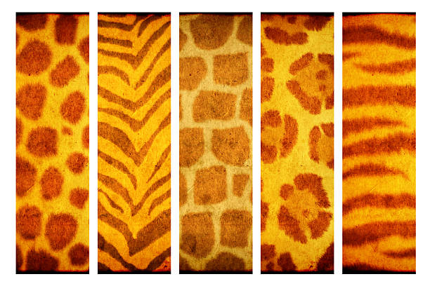 Save wildlife. Vertical banner with grunge eco paper texture and animal fur pattern. Zero waste, responsible consumption, reuse, renewable resource, eco-friendly concept