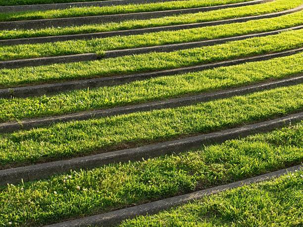istock Bright backlit on grass terrace in a mid west public park 2230145634