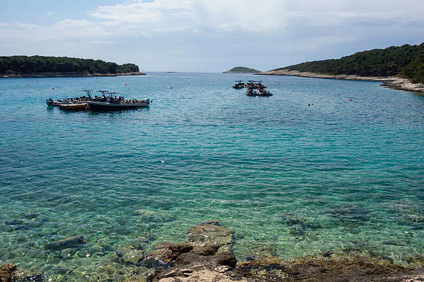 amazing Palmizana Beach in Hvar archipelago, Split Dalmatia County, Croatia.