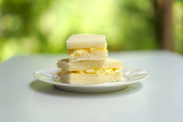 simple dish of sandwich. image