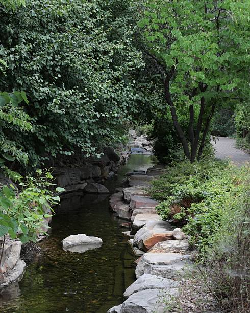 Stream at Harrison Arboretum, Provo utah