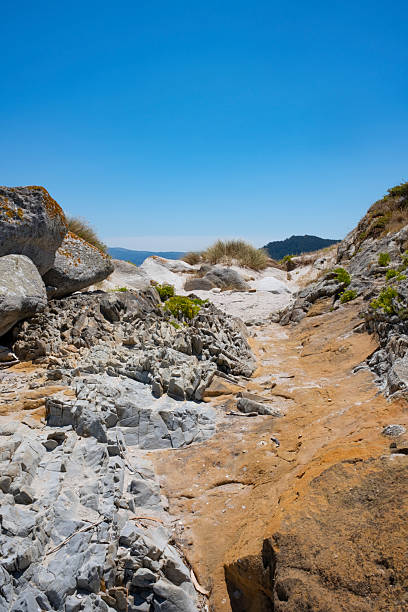 istock Island of Cies 2230147839