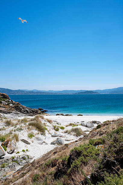 istock Island of Cies 2230147861