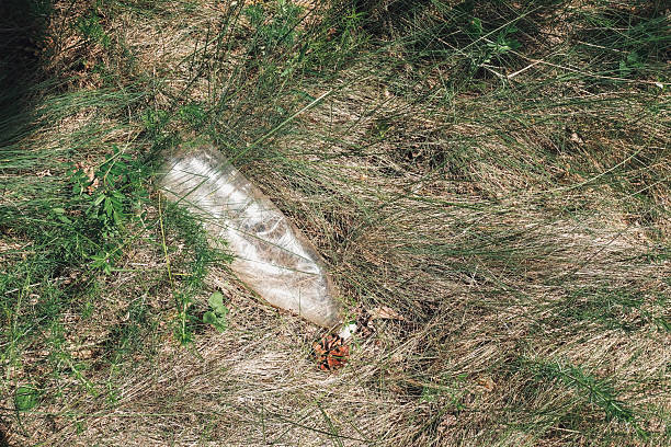 Discarded plastic bottle lies on grassy terrain, surrounded by wild plants and natural elements, emphasizing the impact of pollution on the environment