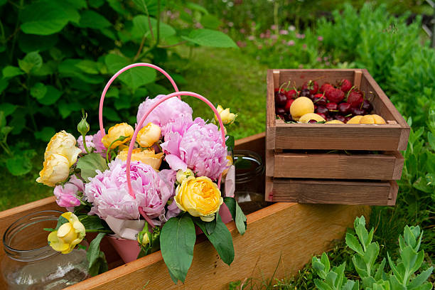 A charming summer garden scene featuring a basket of pink peonies and yellow roses alongside a wooden crate filled with fresh cherries and apricots. ideal for nature-inspired designs.