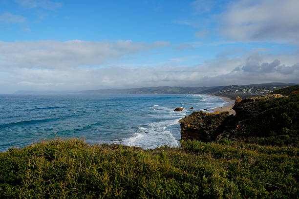 Scenic coastal view along Australia’s Great Ocean Road, featuring rolling ocean waves meeting a sandy beach. Captured from the edge of a seaside cliff, with green coastal grass in the foreground and the turquoise Southern Ocean stretching into the distance.