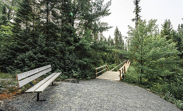 istock Staircase on Fork Lake Trail, Algonquin Provincial Park, Whitney, Ontario, Canada 2230157312